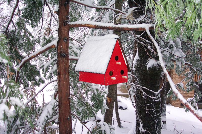 birdhouse in snow