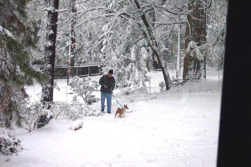 fred walks sam?
