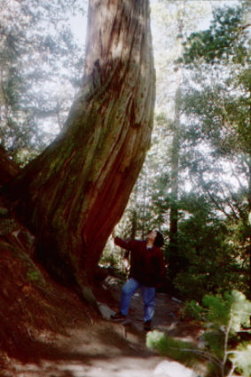 Kathy and tree