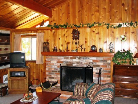 Living room and fireplace