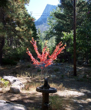 Oct view