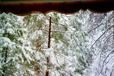view out the bedroom at Christmas