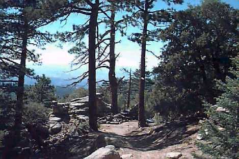 trail to Taquitz Peak in Summer
