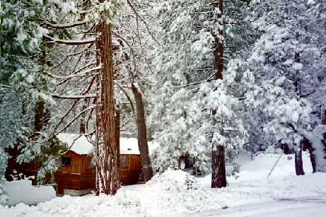 winter view of Serenity cabin