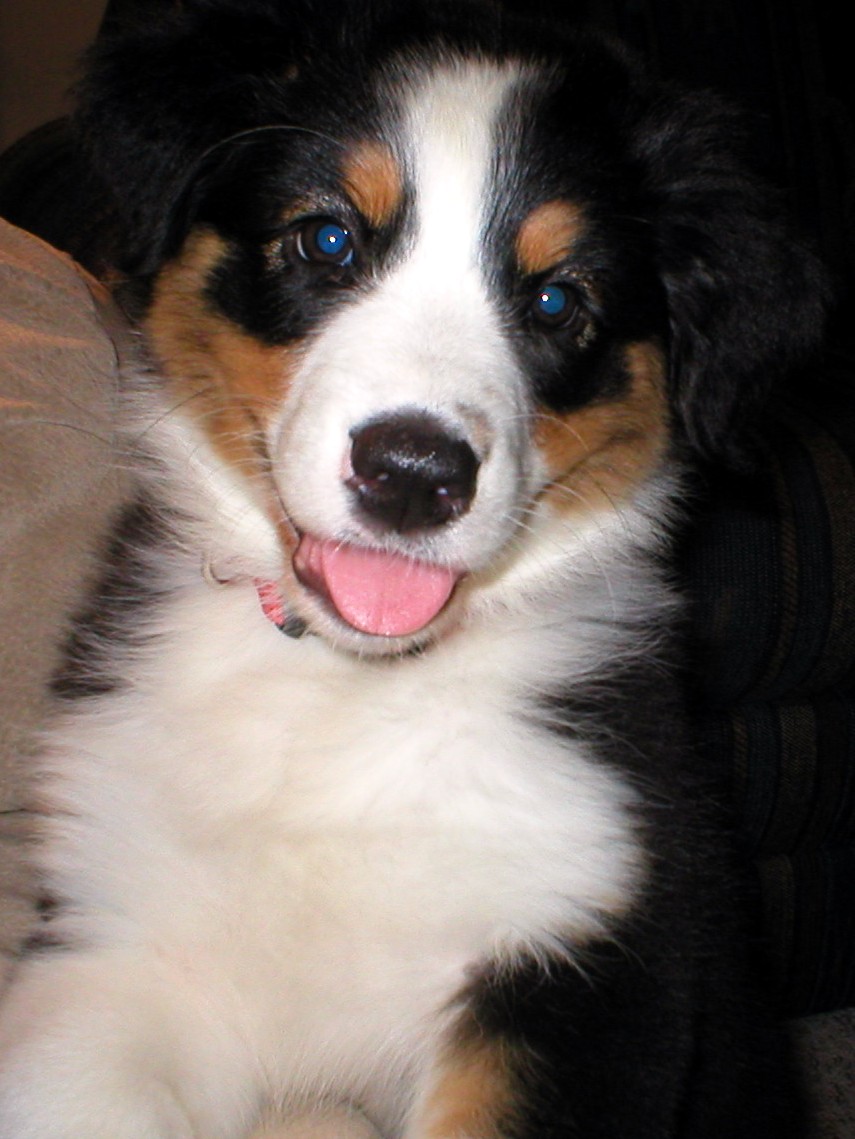 Kylie - 8 weeks