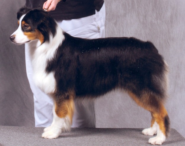 A-WB May 2005