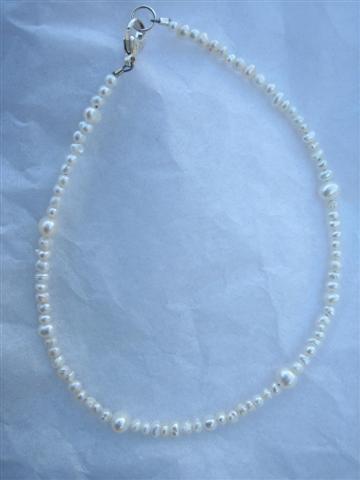 #49&nbsp;&nbsp; $15.00