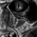 MoriaOrc