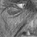 Sechoffe