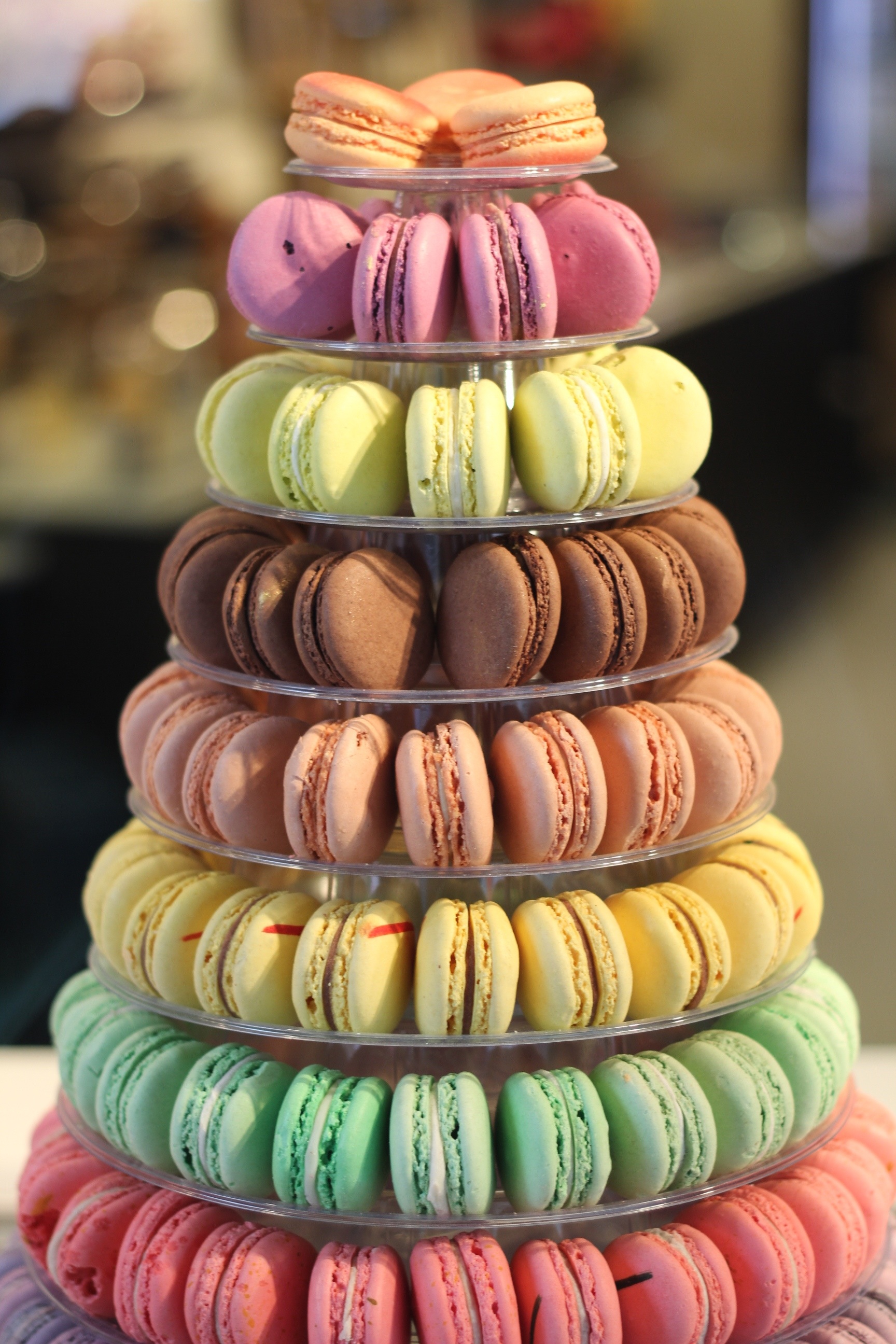 Upper Crust Bakery and Patisserie