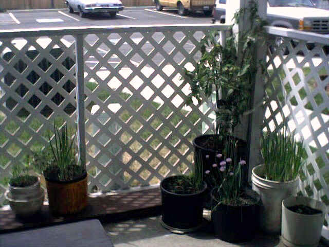 To more patio pictures