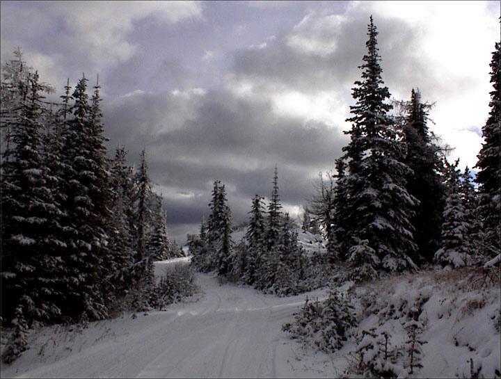 Wintertime scene near Colville Washington.