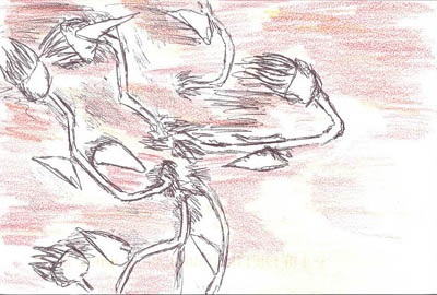 Back to thumbnail gallery.
