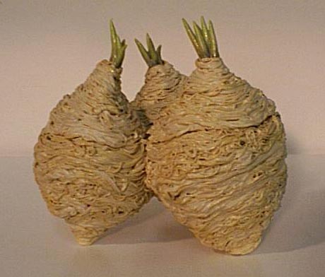 Trijar, stoneware and glaze, 2001