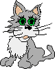 a cool cat