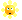 flower5