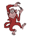 dancing monkey