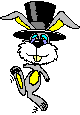 dancing rabbit