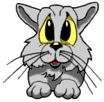 catwinking