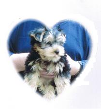 Teddy 4mos