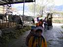 Pc070017.jpg