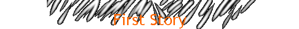 First Story