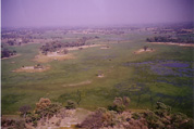 Okavango Delta