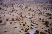 Maun