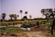 Okavango Delta