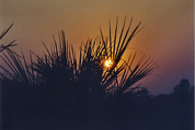 Okavango Delta