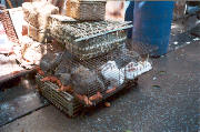 Guangzhou (Canton): Quingping Market