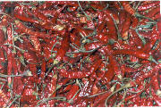 Vang Vieng: Hot chilis