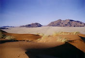 Elim Dune