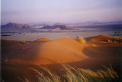 Elim Dune