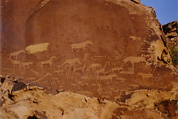 Engravings (3000-6000 years old)