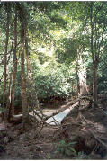 Kanchanaburi: Erawan Waterfalls