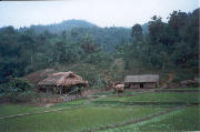Hmong village