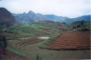 Around Bac Ha