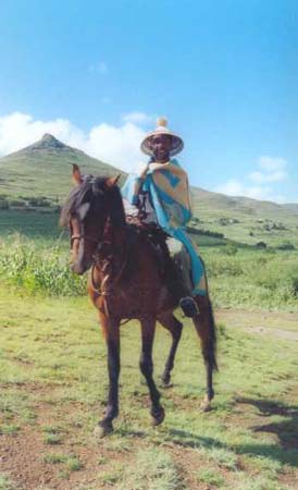 02ntateonhorse02