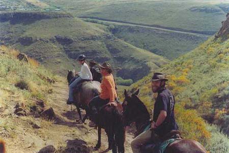 03ponytrekkinglookingback