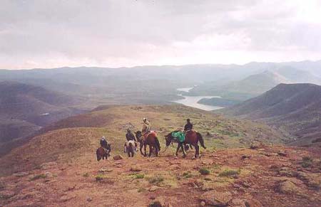 15horsesmountaintop