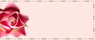 Rose 1