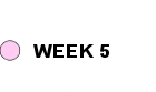 Week 5 Exploring features