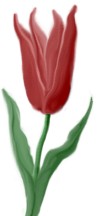 playing with the retouch tool