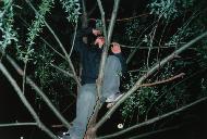 Un Gera di altri tempi in un lontano giorno di primavera del 2000 appollaiato in cima ad un albero con una boccia di grappa alla mela verde