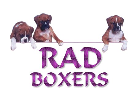 Welcome To RAD Boxers