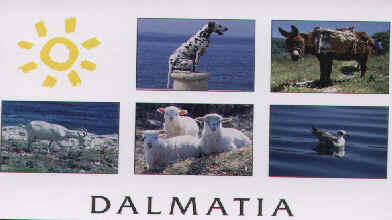 Dalmacija