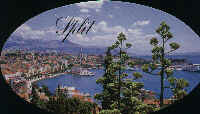 Split