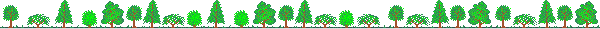 moretreesbar.gif (3129 bytes)