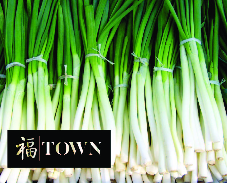 Welcome to TOWN
